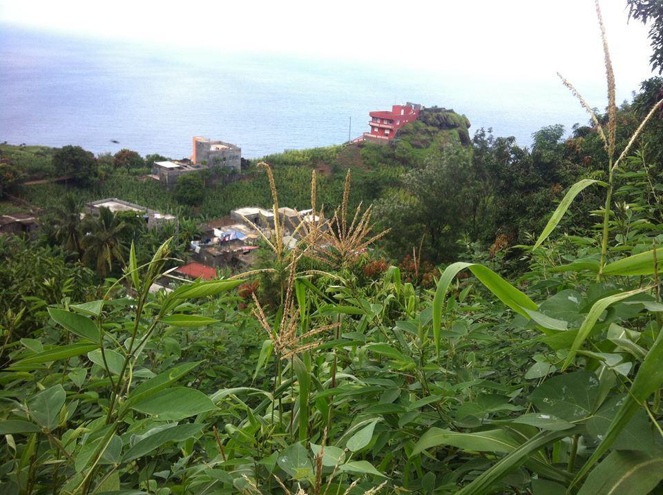 Gira Lua Guest House Igreja Bagian luar foto
